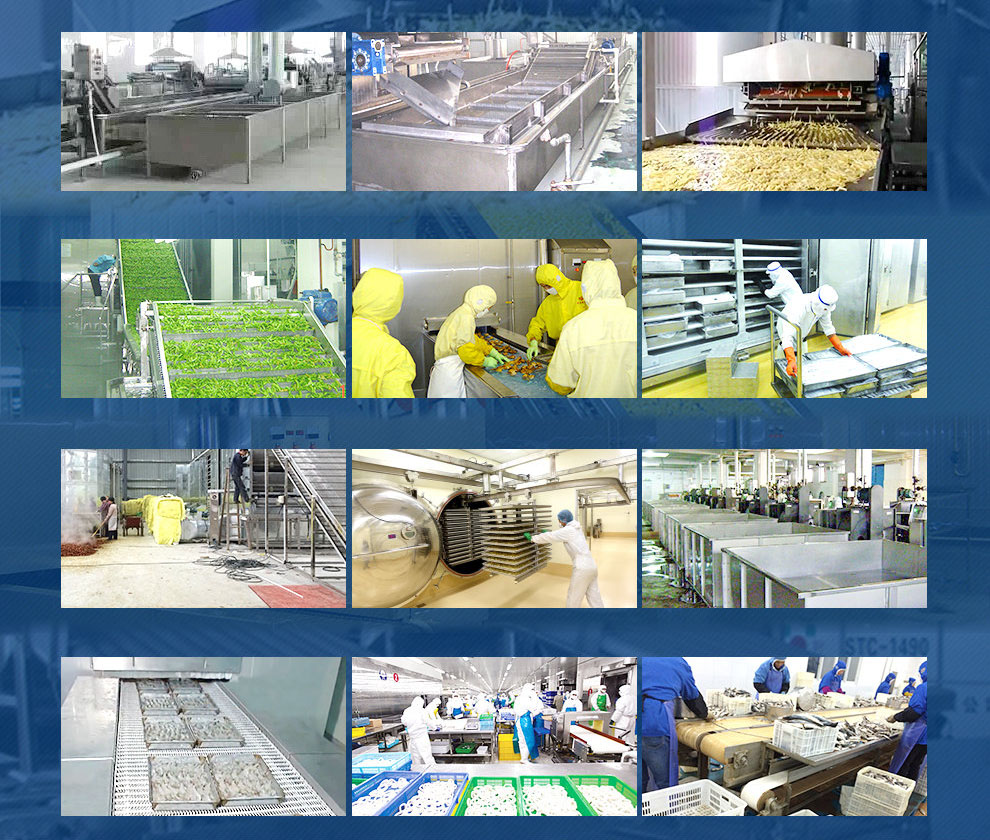 iqf processing line for various foods