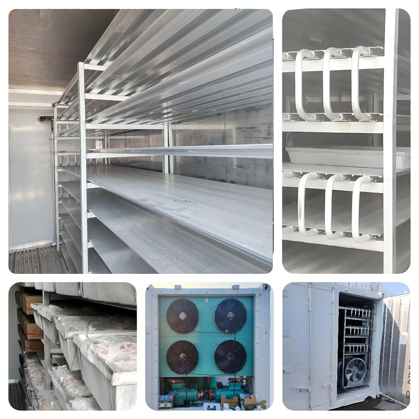 container freezer