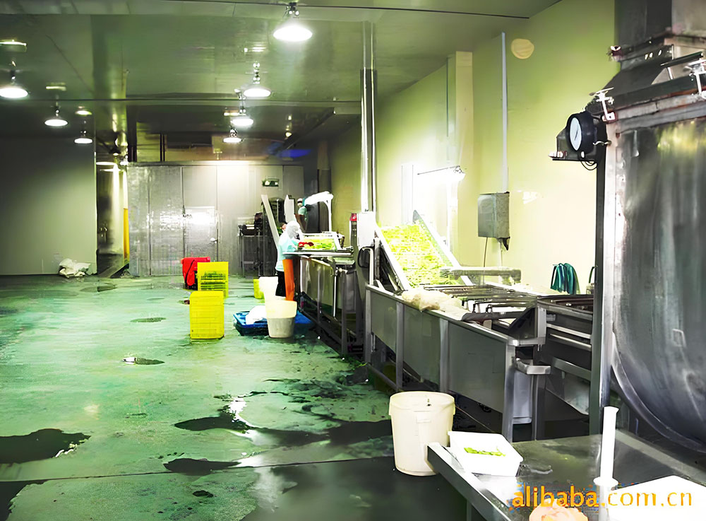 IQF Fruit and Vegetable Processing Plant