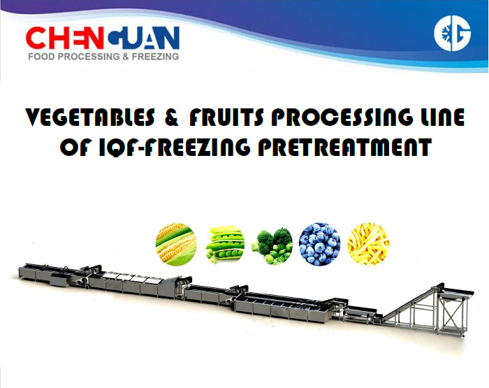IQF Fruit and Vegetable Processing Plant