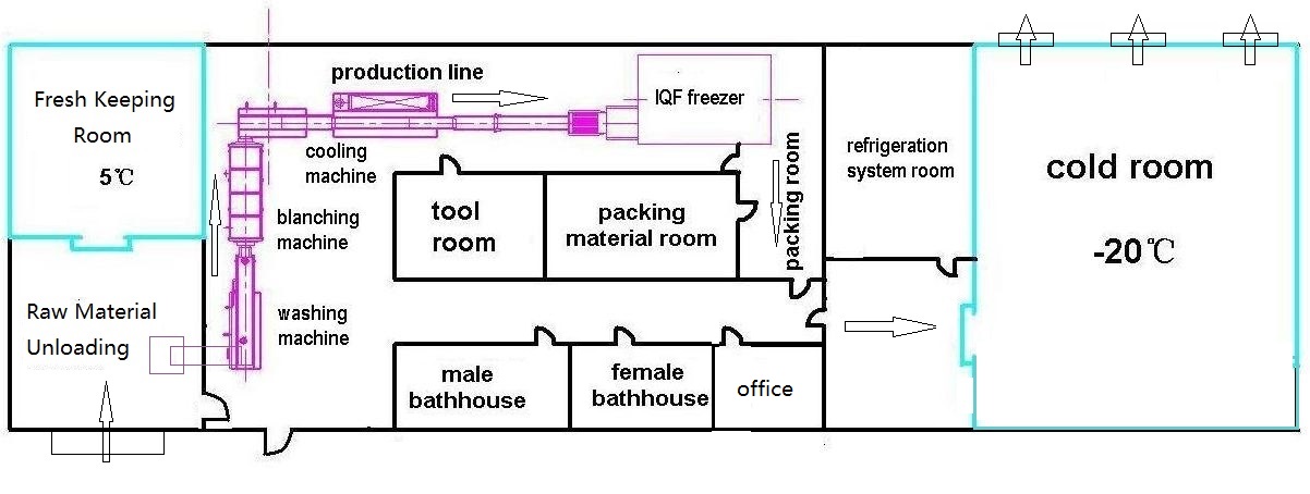 layout of IQF Fruit and Vegetable Processing plant