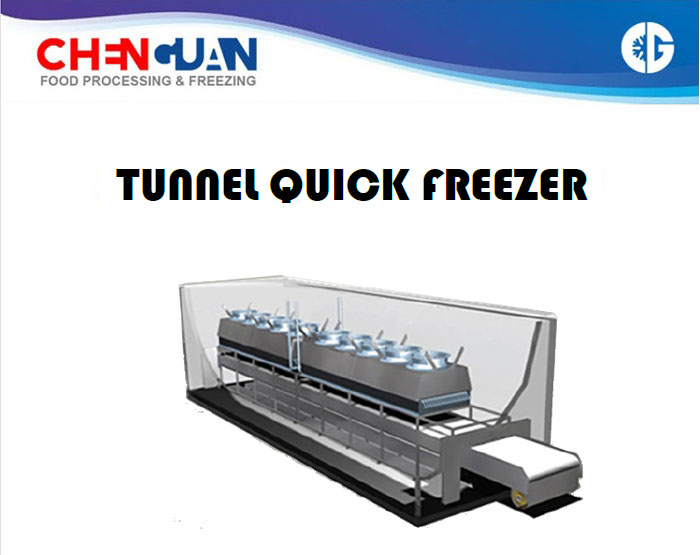 IQF Tunnel Freezerr