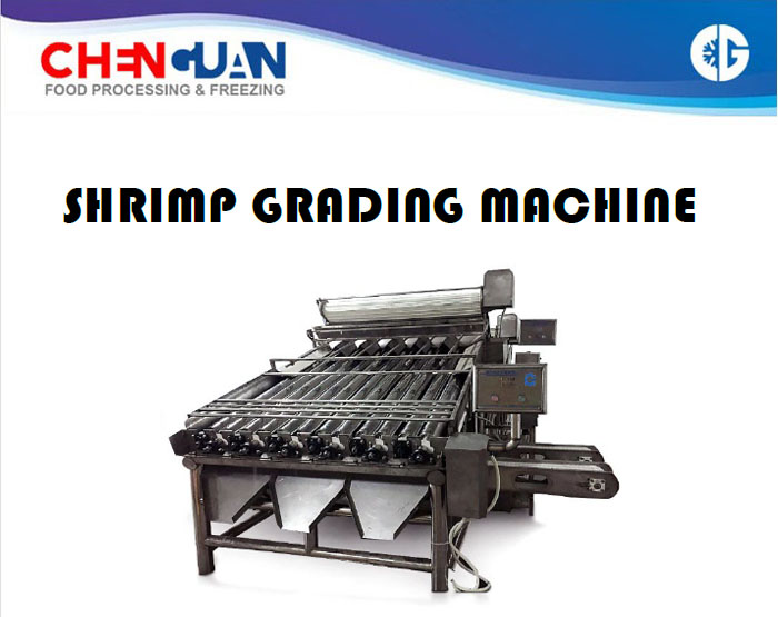 Shrimp Grading Machine