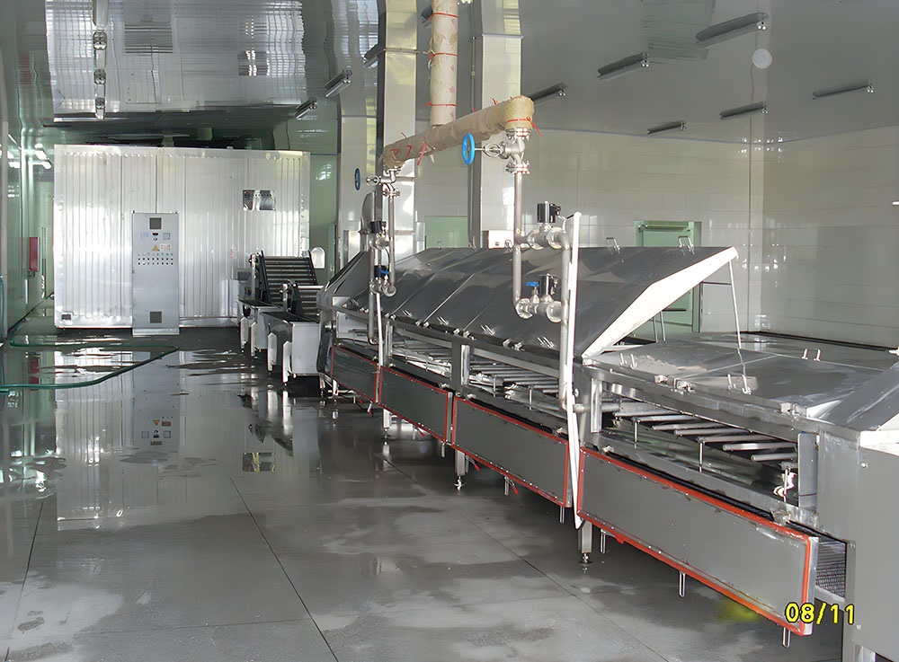 IQF Shrimp Processing Plant