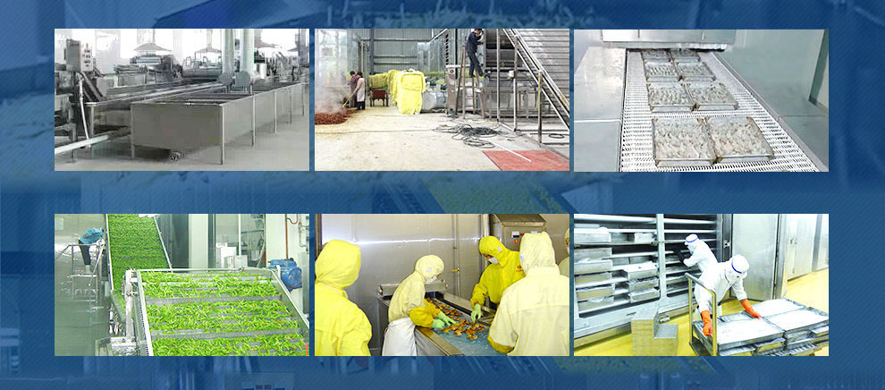 iqf processing line for various foods