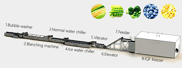 iqf freezing line for vegetables and fruits